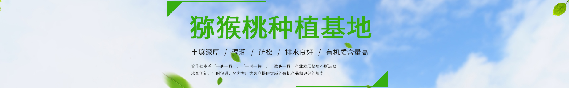 凯发-k8国际官方首页