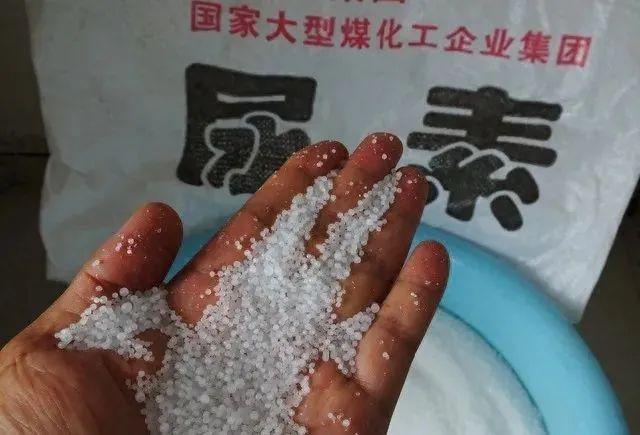 凯发国际2024化肥或将迎来“大缩水”？