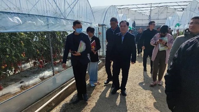 2024年福建省首场农作物新品种现场考察观摩推介会在仙游举办(图2)
