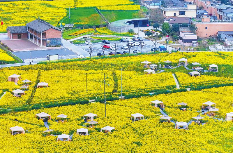 2024年四川“三农”工作这么干