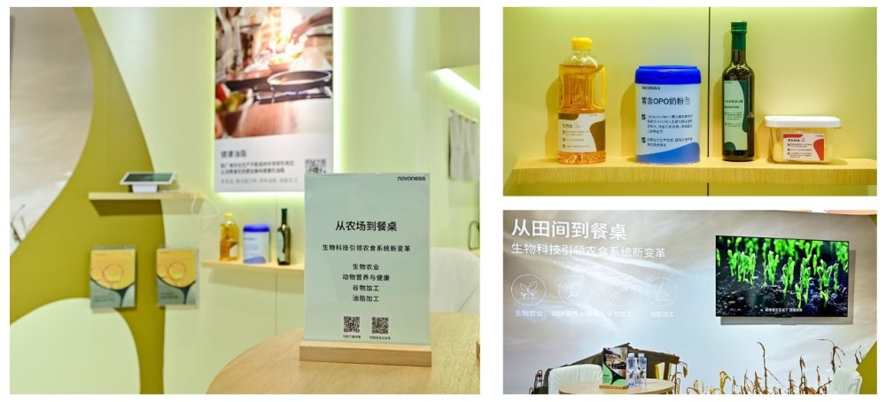 诺和新元（Novonesis）全新亮相FIC2024以生物科技引领食品健康体系新变革(图3)