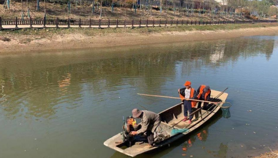 凯发国际首页金牛镇：打造“幸福河湖”水名片绘就人水和谐新图景