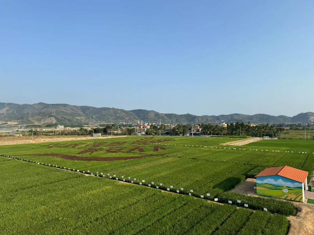 不断推动我国种业高质量发展——从2024中国种子大会看种业振兴新动向(图2)
