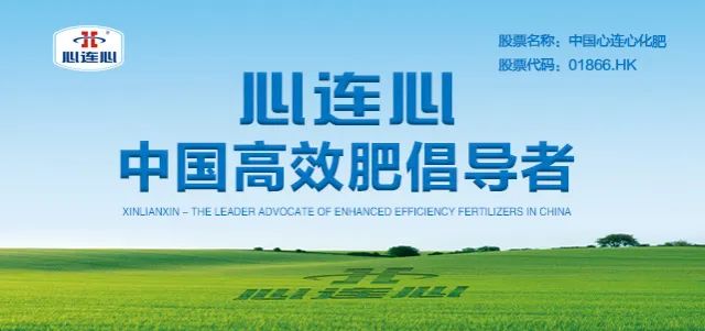 中国心连心化肥：一季度业绩承压加强高效肥及差异化产品推广多产品毛利率稳中提升