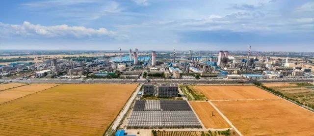 中国心连心化肥：一季度业绩承压加强高效肥及差异化产品推广多产品毛利率稳中提升(图2)