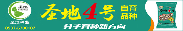 46个品种获推荐！2024年第七届黄淮麦区小麦新品种地展博览会在郑州荥阳市盛大开幕！(图6)