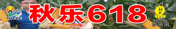 46个品种获推荐！2024年第七届黄淮麦区小麦新品种地展博览会在郑州荥阳市盛大开幕！(图7)