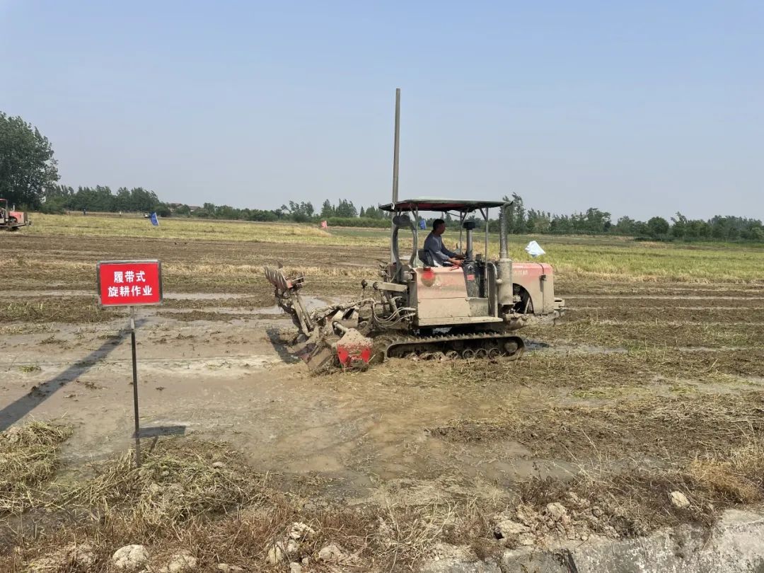 凯发国际首页荆州市2024年油菜机收减损暨秸秆禁烧和综合利用推进活动在马山镇召开(图2)