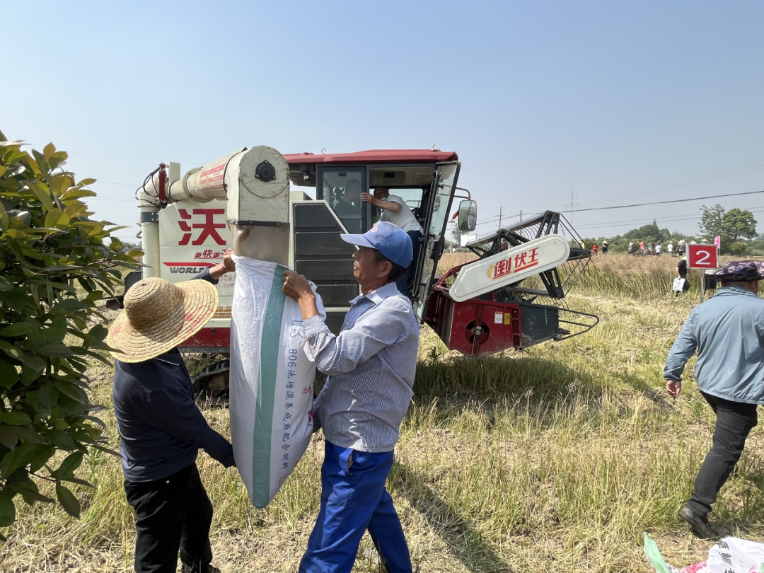 凯发国际首页荆州市2024年油菜机收减损暨秸秆禁烧和综合利用推进活动在马山镇召开(图4)