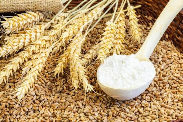 粮食和物资储备局计划收购价小麦800万吨2024年5月19日小麦行情(图3)