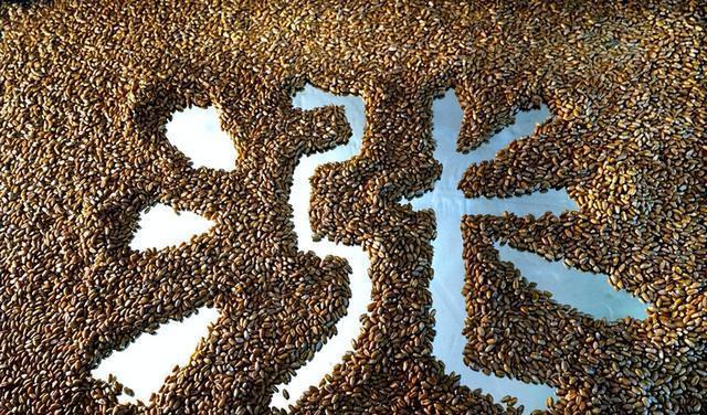 粮食和物资储备局计划收购价小麦800万吨2024年5月19日小麦行情(图5)