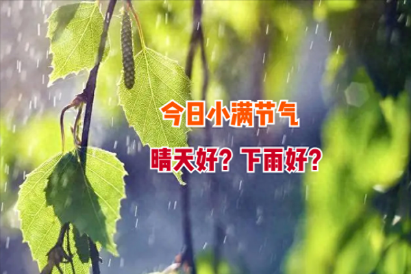 “涝不涝看小满”今日小满2024年雨水多不多？看农谚咋说K8国际入口