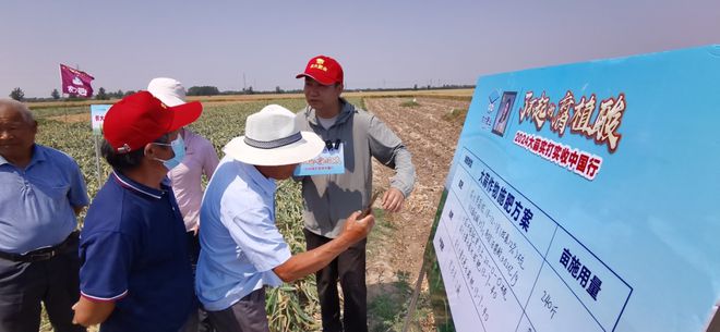 作物经理遭遇种植户“围堵”？“了不起的腐植酸2024实打实收中国行”丰县站：大蒜小年夺高产！(图13)
