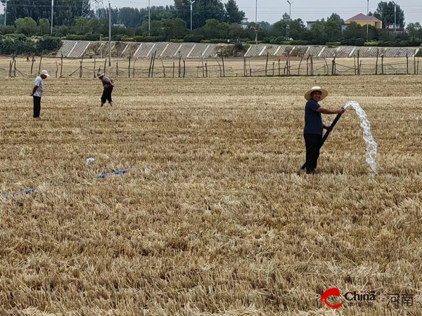西凯发国际平县柏苑街道召开2024年抗旱抢种保秋工作推进会(图2)