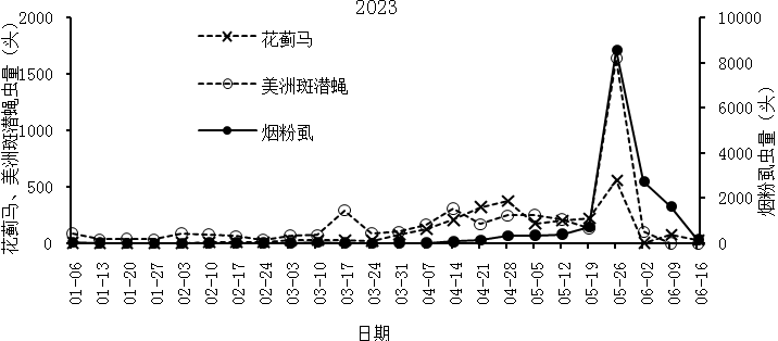 阿拉尔局对外发布2024年主要农作物病虫害气象专报(图4)
