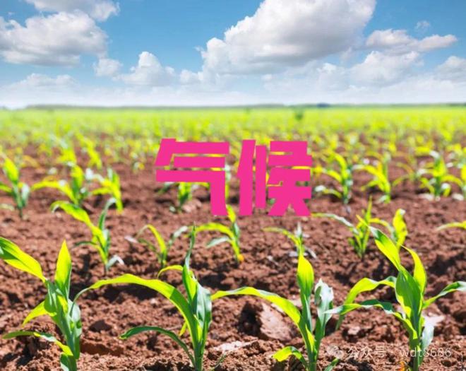 夏至三庚数头伏！2024年哪天入伏？今年三伏天热吗？看农谚咋说(图4)