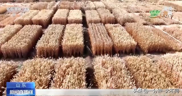 两分钟看完今日要闻2024年6月17日10条新闻早知道！(图5)