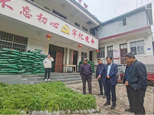 K8国际入口陇南市审计局：送化肥真情帮扶办实事温暖民心