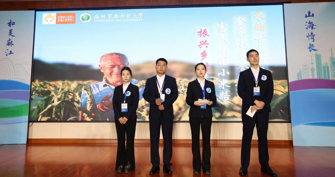 陕西米脂小米科技凯发国际小院团队喜获2024乡村振兴案例大赛银奖