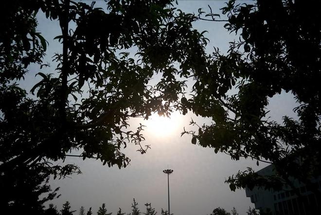 2024年7月15日入伏俗语“早入伏雨连绵晚旱了田”啥意思