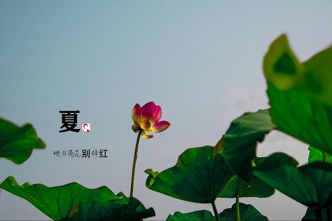 2024年7月15日入伏俗语“早入伏雨连绵晚旱了田”啥意思(图5)
