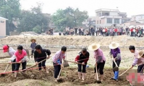 “过了夏至不种田”！夏至后4种作物别再种了民间谚语给出答案(图1)