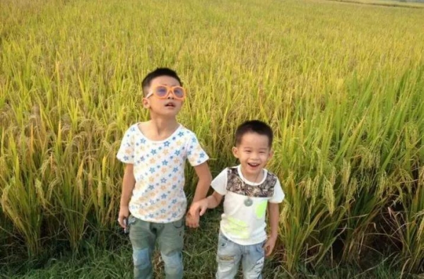 “过了夏至不种田”！夏至后4种作物别再种了民间谚语给出答案(图3)