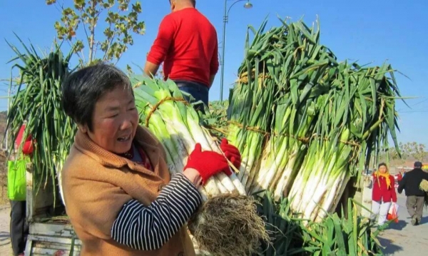 “过了夏至不种田”！夏至后4种作物别再种了民间谚语给出答案(图7)