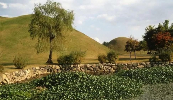 “过了夏至不种田”！夏至后4种作物别再种了民间谚语给出答案(图6)