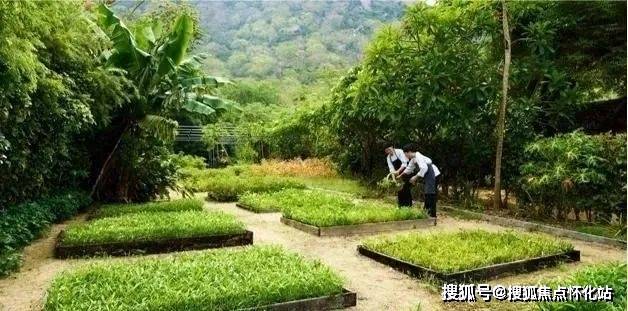 九铭屿海(售楼处)-2024网站丨九铭屿海地址_户型_楼盘详情(图4)