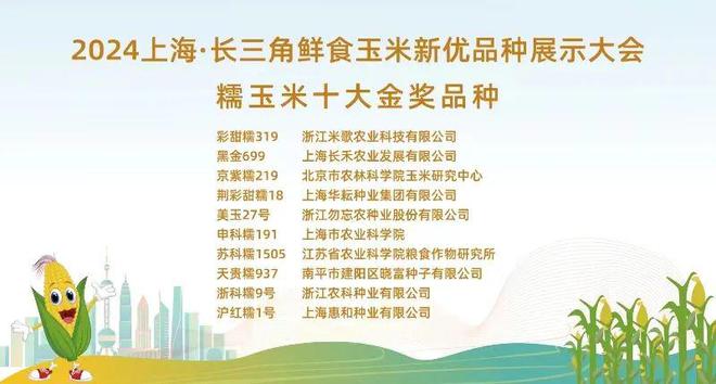 318个玉米品种齐聚奉贤！2024上海·长三角鲜食玉米新优品种展示大会举办(图2)
