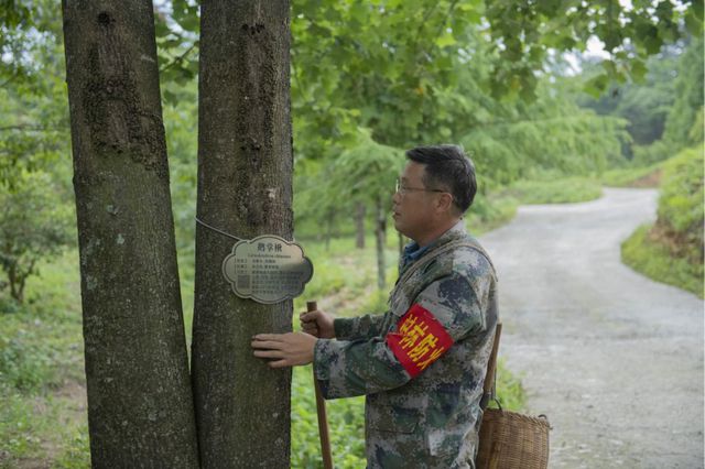 “这辈子值了！”(图7)