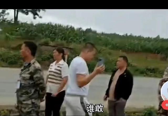 禁止农民在基本农田种植非粮作物广西开始清除农田非粮作物。(图2)