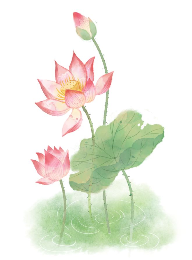 今日大暑丨热辣滚烫(图2)