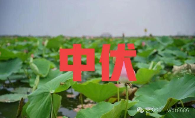 “上午立秋冷飕飕下午立秋热死牛”2024年几点？有啥预兆？