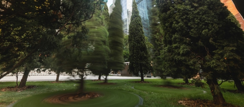 油街实现2024｜免费展览及活动推荐！游走二级历史凯发国际建筑艺术空间(图3)