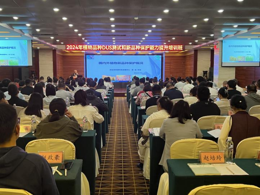 凯发国际首页2024年植物品种DUS测试和新品种保护能力提升培训班在丽江举行_新华网