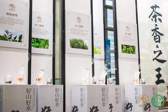 广州首展2024广州全球茶业交易博览会将于8月16-19日举办！(图9)