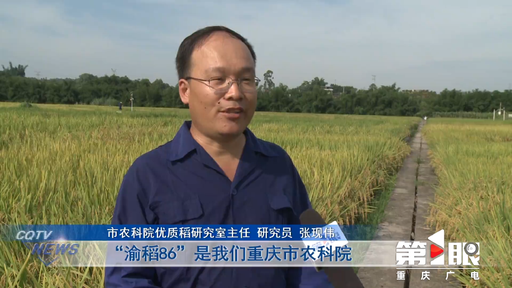 重庆发布2024年十大突破性农作物种质资源(图2)