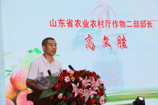 滨州惠民：2024年“百川杯”优质桃鉴评大赛圆满落幕(图2)