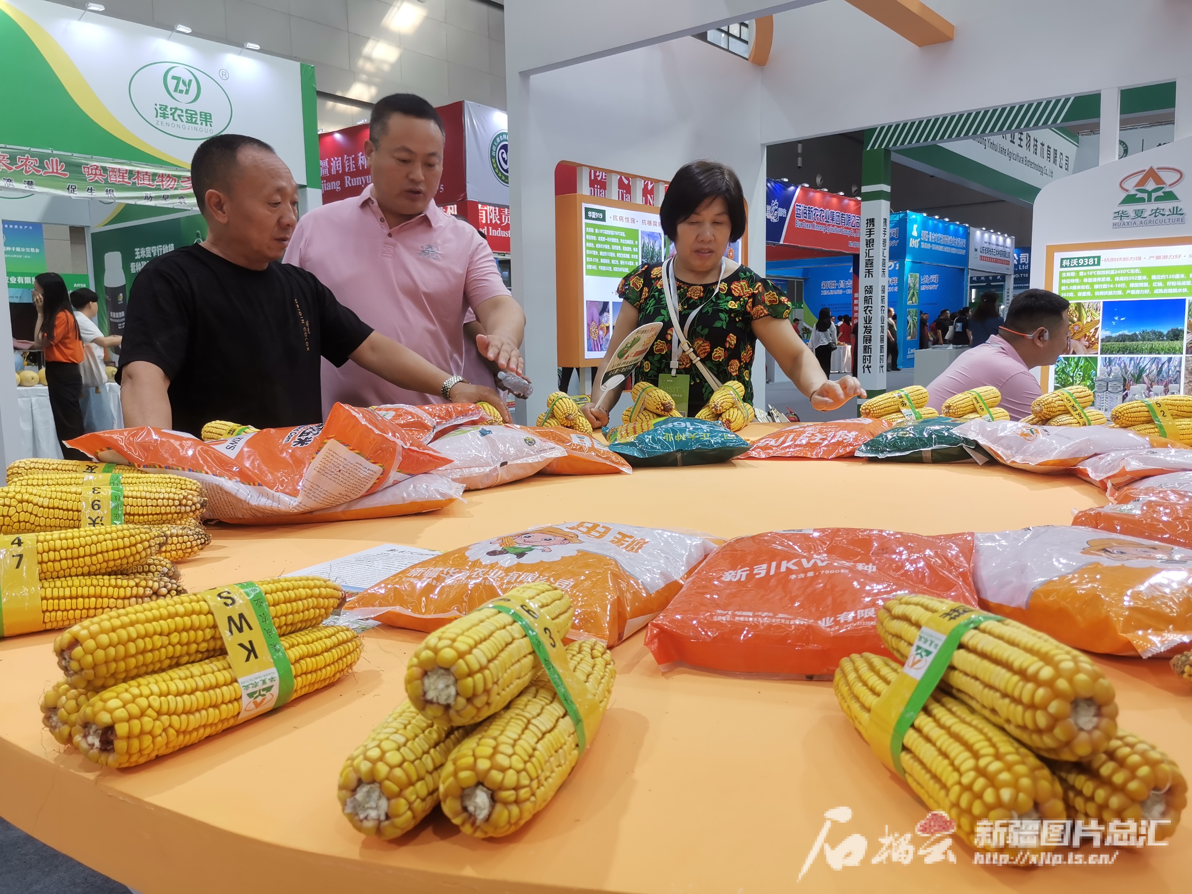 2024中国新疆第十届种子展示交易会在昌吉开幕(图3)