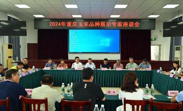 2024年重庆市玉米品种展示示范现场会在荣昌区举行(图2)