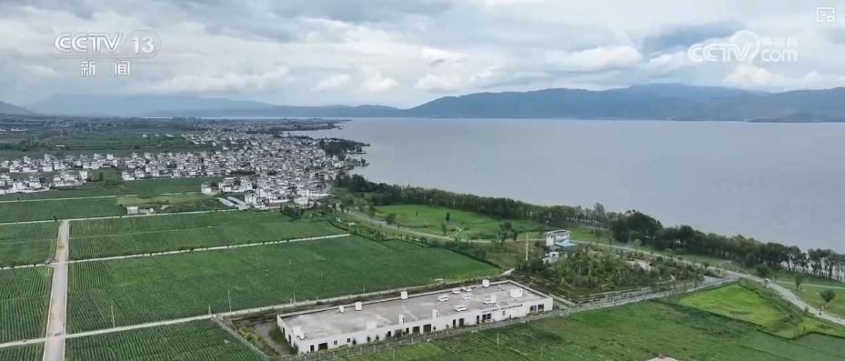 凯发国际高质量发展调研行“颜值”变“产值”打造“风景生产力”(图13)
