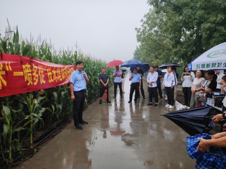 凯发国际首页秋粮作物进入关键期淄博“一喷多促”助力增产丰收(图2)