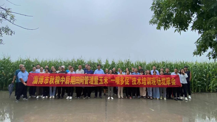 凯发国际首页秋粮作物进入关键期淄博“一喷多促”助力增产丰收(图3)