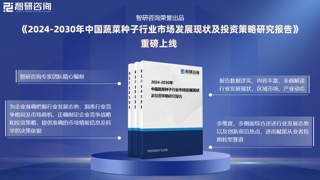 2024版中国蔬菜种子行业市场发展前景分K8国际入口析报告（智研咨询发布）