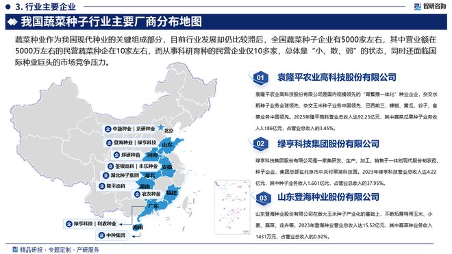 2024版中国蔬菜种子行业市场发展前景分K8国际入口析报告（智研咨询发布）(图4)