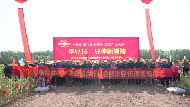 祝贺：2024年度秋收种业战略合作峰会暨华豆16现场观摩会成功召开(图4)