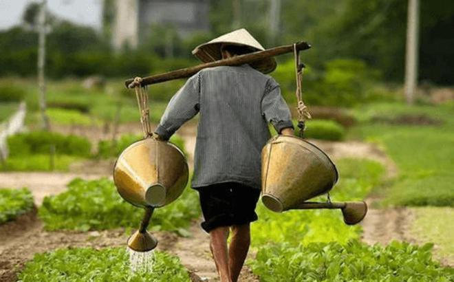 中美化肥年产量差距犹如断崖：美国产量2100万吨中国能有多少？(图10)