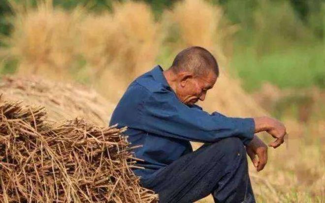 中美化肥年产量差距犹如断崖：美国产量2100万吨中国能有多少？(图21)